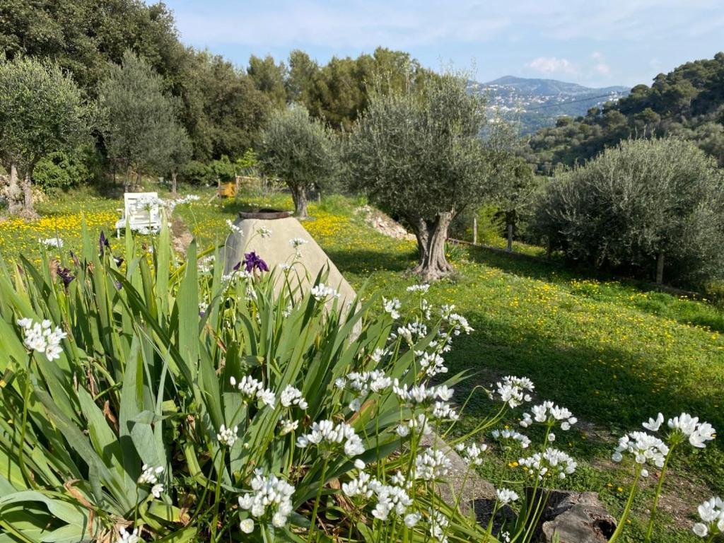 Breathe Guest-House Daire Nice Dış mekan fotoğraf