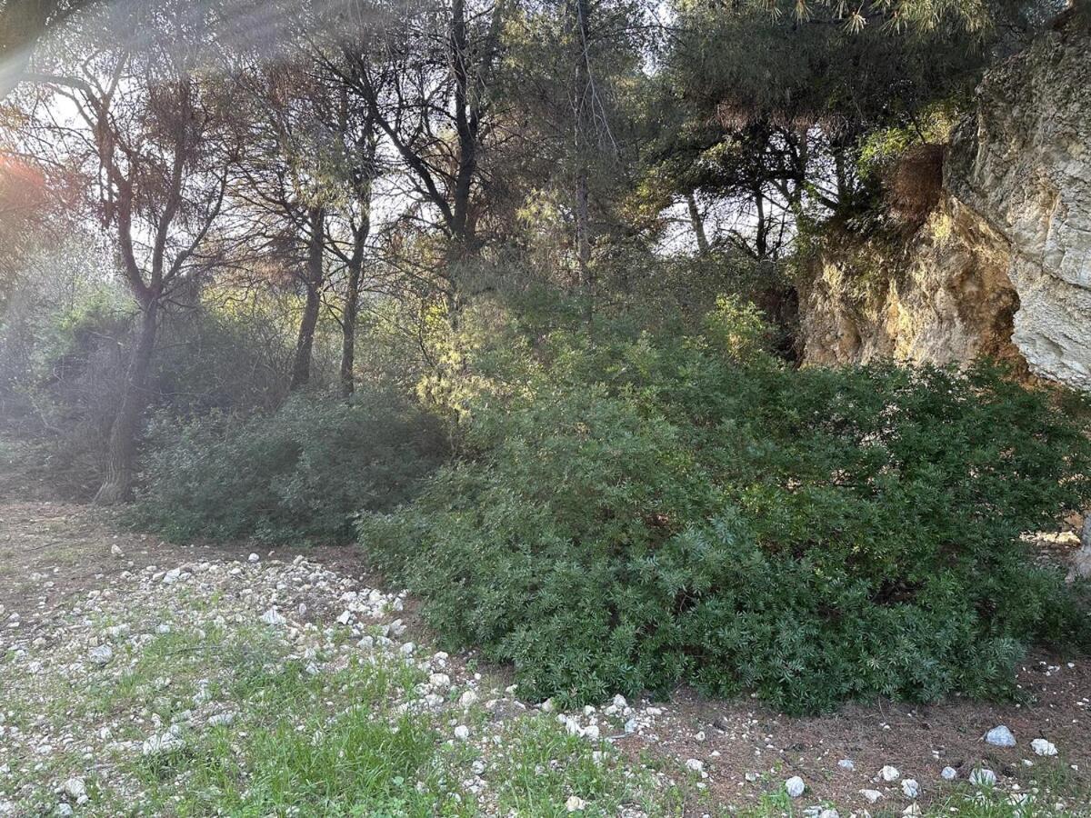 Breathe Guest-House Daire Nice Dış mekan fotoğraf